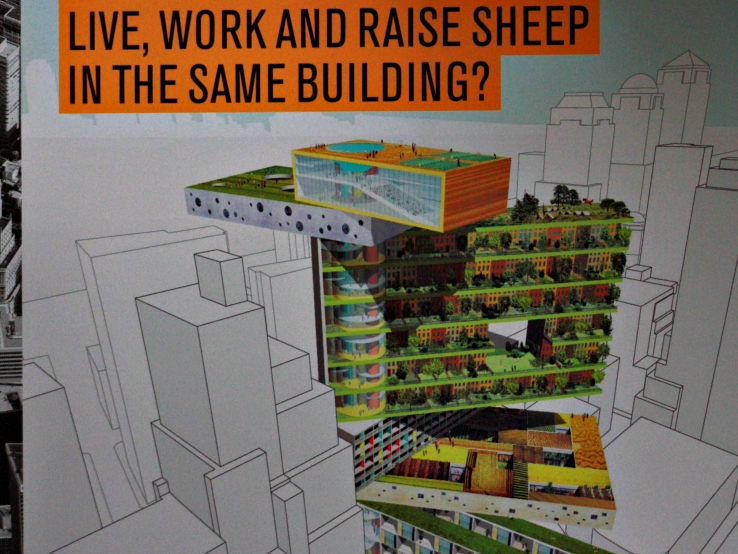live, work and raise sheep