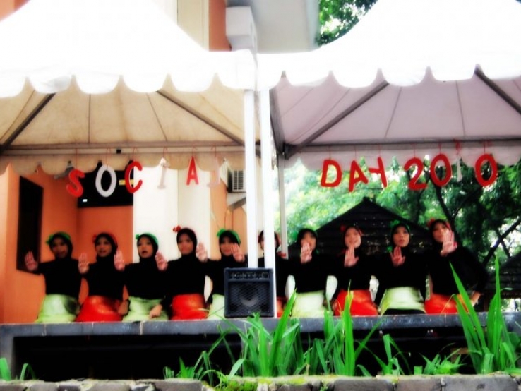 saman in harmony