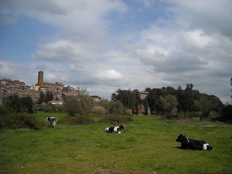 Sutri