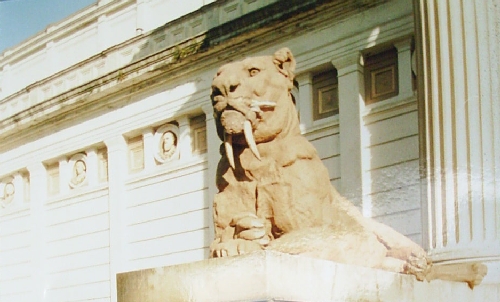 Detalle del Museo de Ciencias Naturales de La Plata