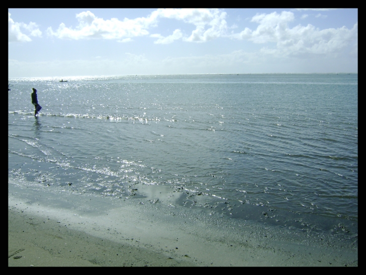 Sea