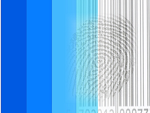 Blue Print