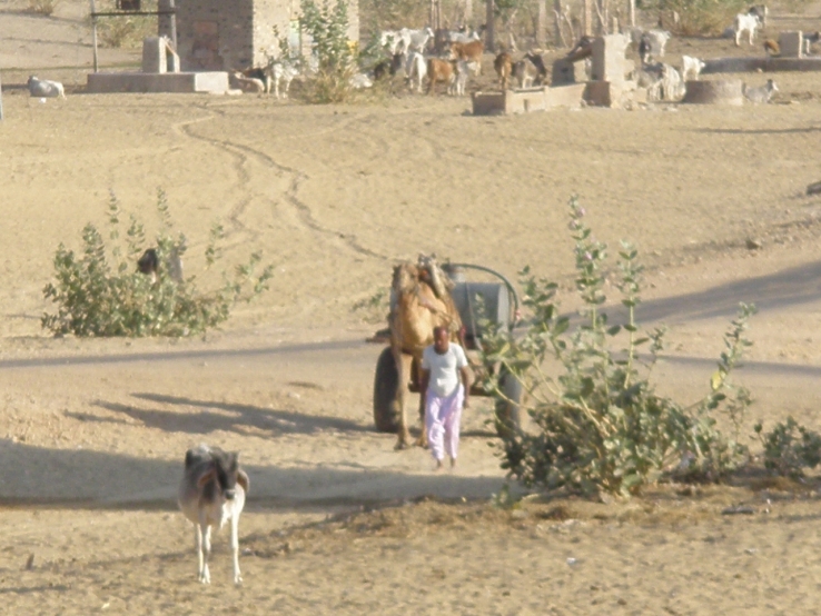 villages in rajasthan