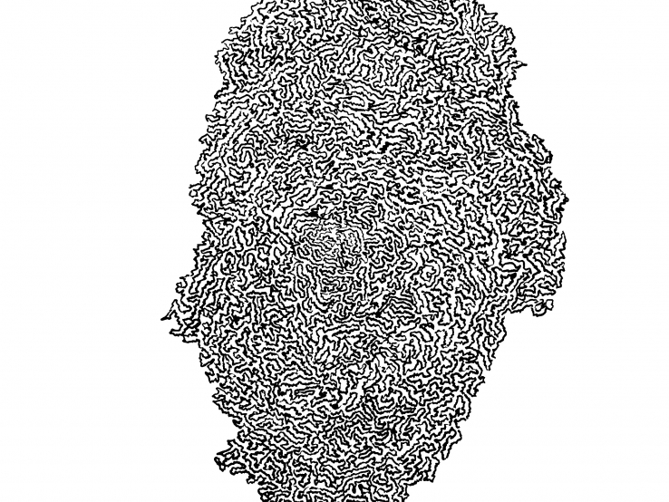 Unique as a Fingerprint