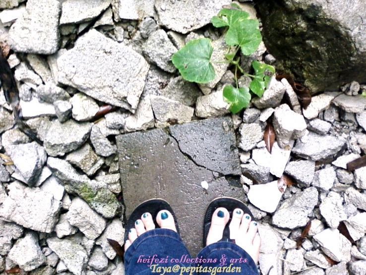 Life is beautiful ~ A choice