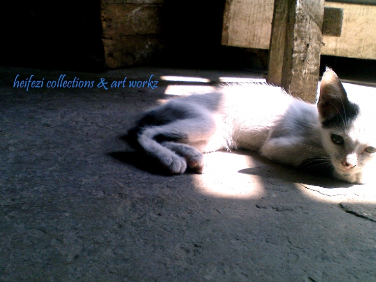 The Cat's Life