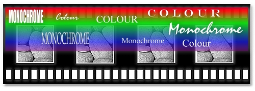 MONOCHROME RAINBOW