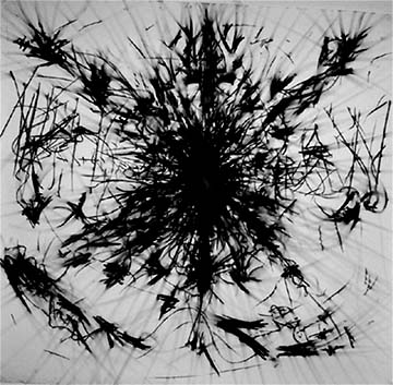untitled 1