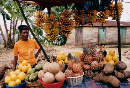 Haiti et esp