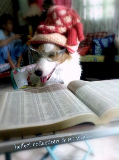 Our Dog named Pancho