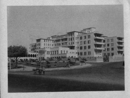 OLD(Gamal Abd-ElNasser Hospital)