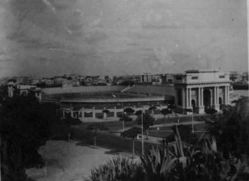 Alexandria Staduim