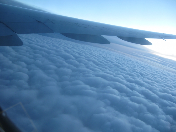 Flying in the sky
