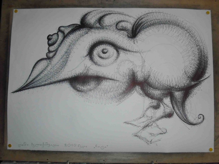 bird