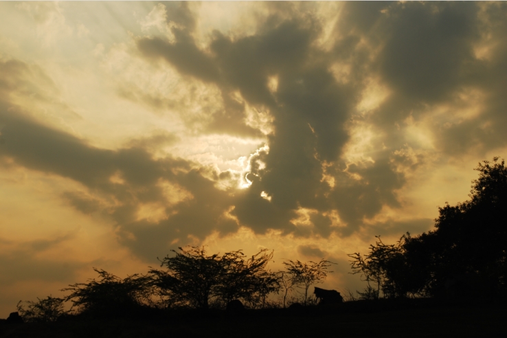 Monsoon