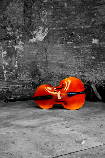 Double Bass