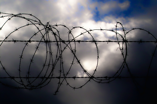 Barbed Wire at Noon