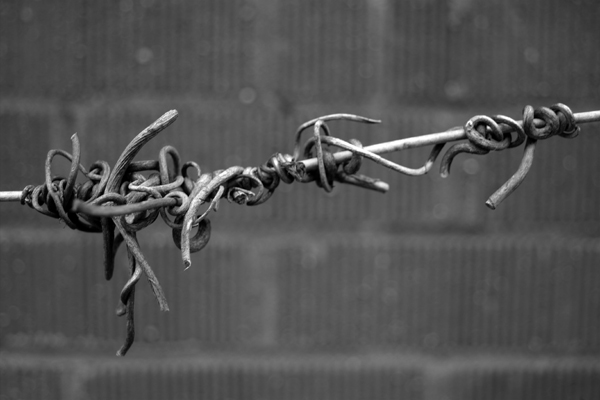 Nature as Barrier