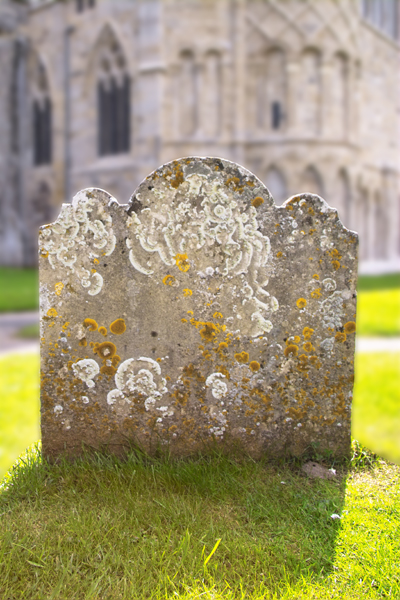 Gravestone with Lichen