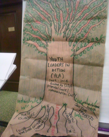 Youth Leaders In Action - Structure Tree
