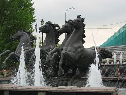 Hold Your Horses!