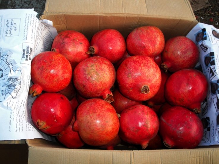 Pomegranates / Grenades