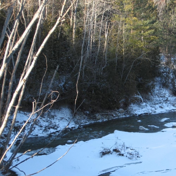 Rouge River