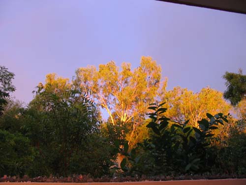golden tree