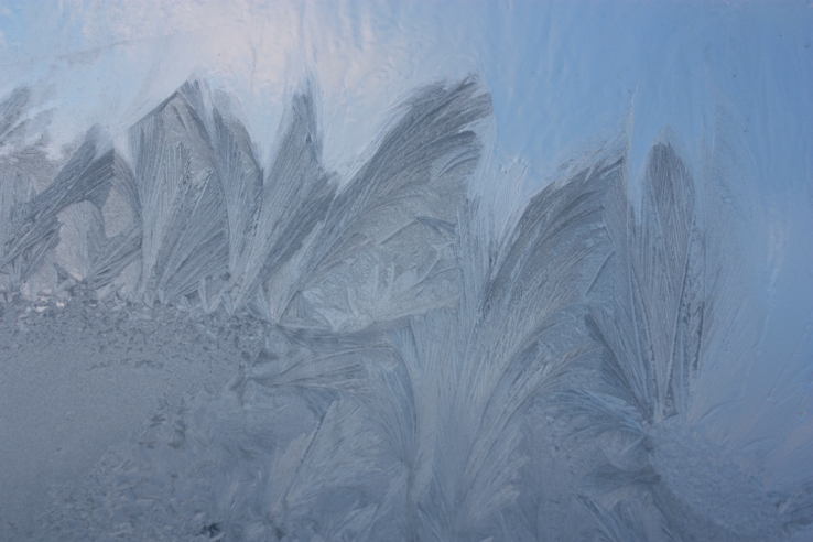 Winter patterns