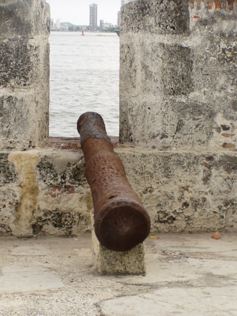 Cannon