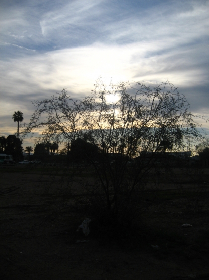 Dim Sun