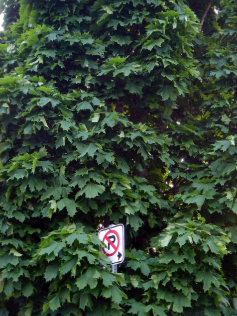 No Parking