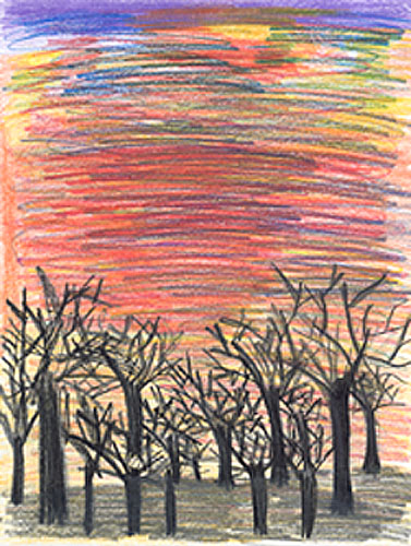 Fire In The Sky