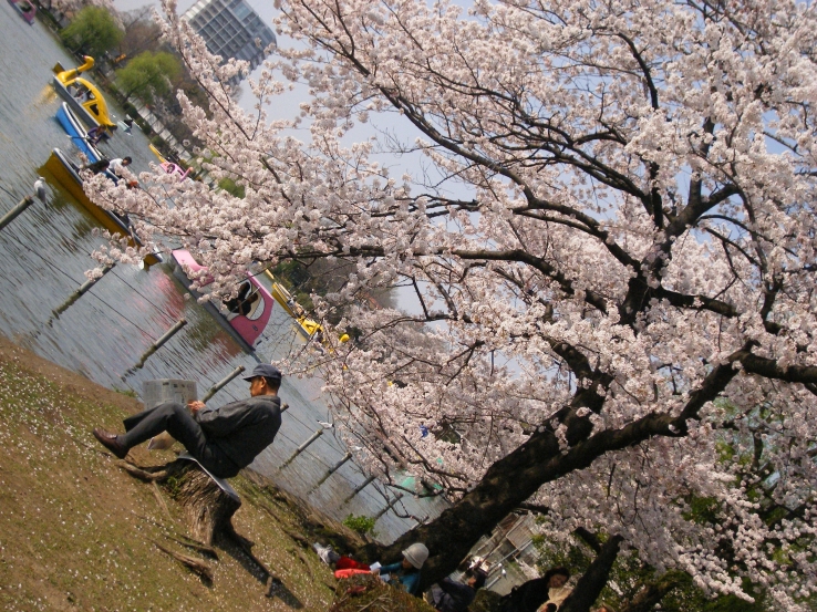 japan: yokohama