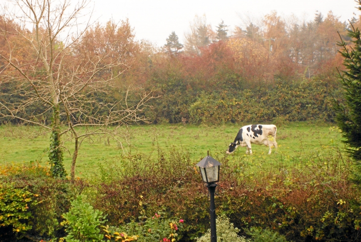 ireland