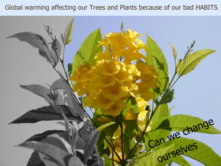 Save our Planet