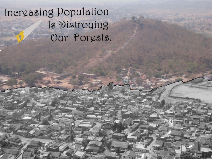 More Population Create More Problems