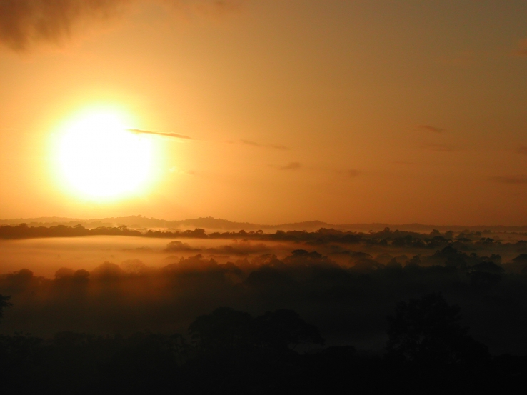 rainforest sunset