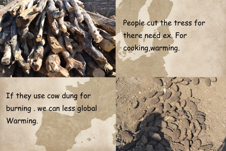 Use Cow Dung!!