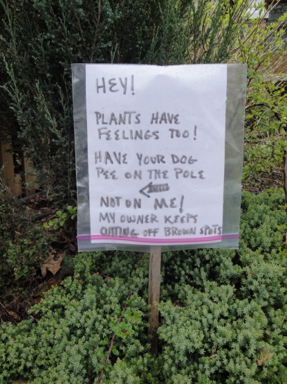 Plants Have Feelings Too