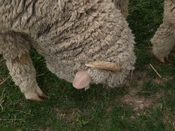 BAaAA