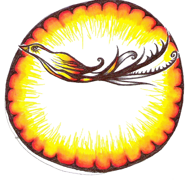 Solar Bird