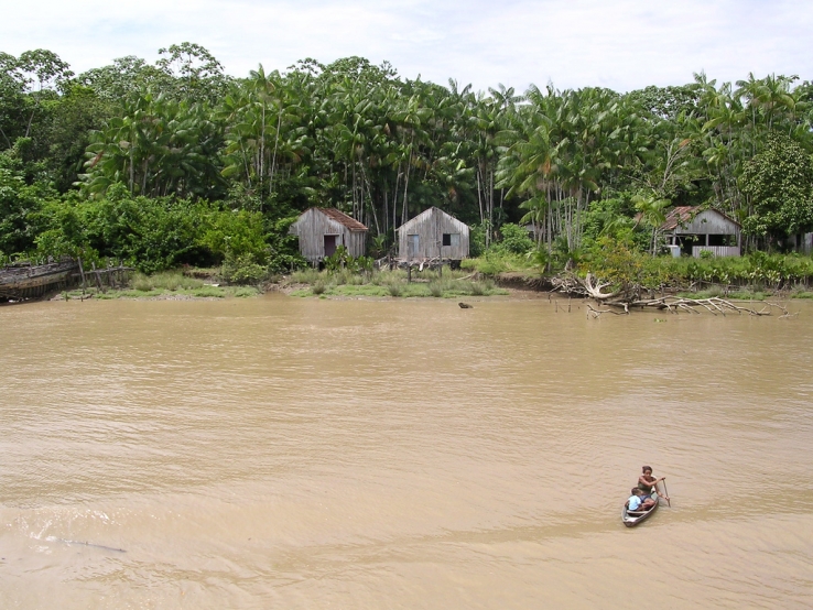 Border of the Amazon river