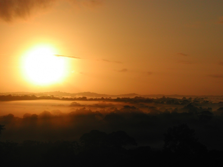 sunset in the Amazon rainforest