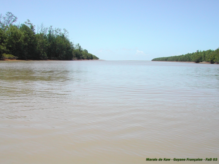 Embouchure de la rivière de Kaw