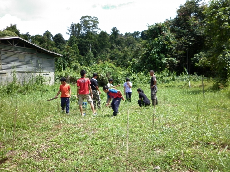 Tree Planting along the Kinabatangan River