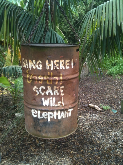 Elephant Human Conflict management