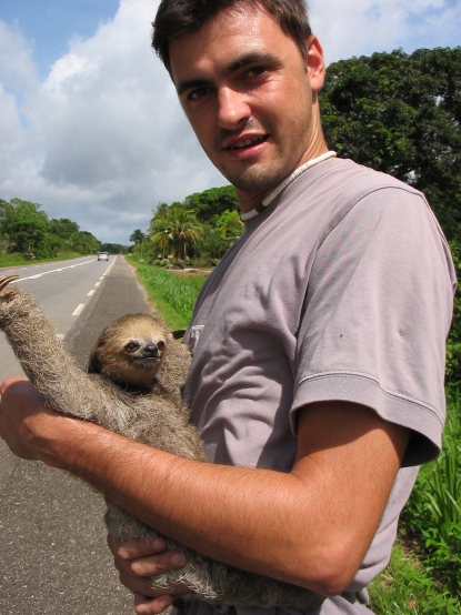 Baby sloth