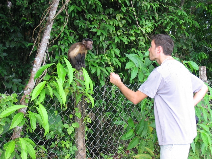 Monkey talk