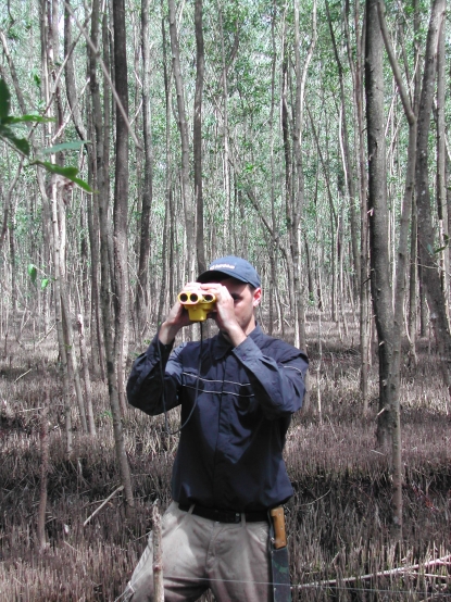 Counting and measuring trees in the manngrove